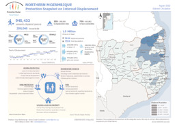 Document - Global Protection Cluster Mozambique Chalane Dec 2020